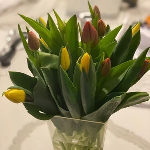 Meet your Posher, Kaman